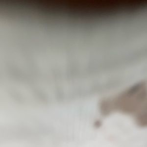 Meet your Posher, Alicia